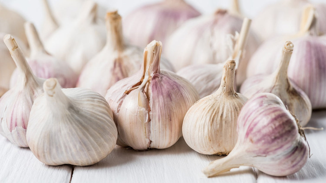 Czosnek w domowej kuchni: Jak wydobyć najlepszy smak i zachować świeżość?